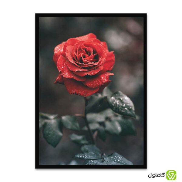 تابلو دکوراتیو مدل گل رز 2  کد P004
