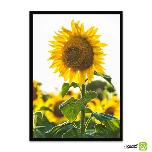 تابلو-دکوراتیو-مدل-گل-آفتابگردان-2-کد-p005