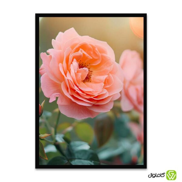 تابلو-دکوراتیو-مدل-گل-رز-هلندی-کد-p007