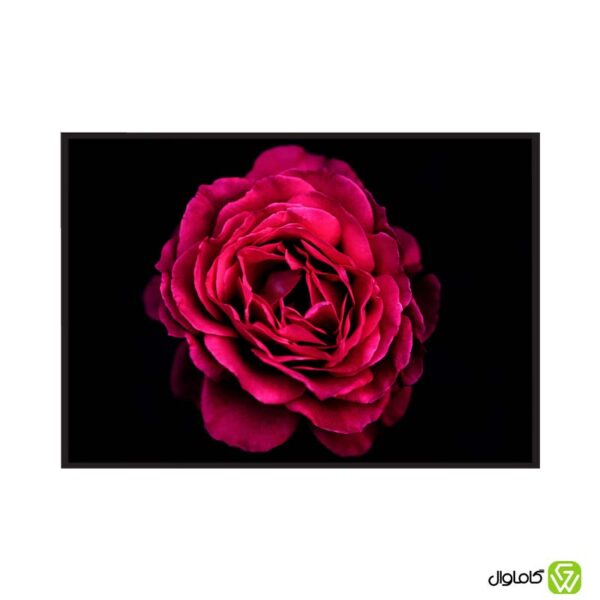 تابلو-دکوراتیو-مدل-رز-مخملی-کد-p008